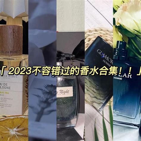 香水百合一束多少2023|香水推薦 2023｜20 支不能錯過的花香調、中性木香調 